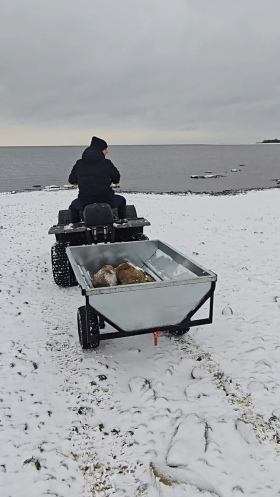 Квадроцикл Восток с прицепом