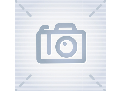 Колесо в сборе HB930MS PRO (ШЛ)