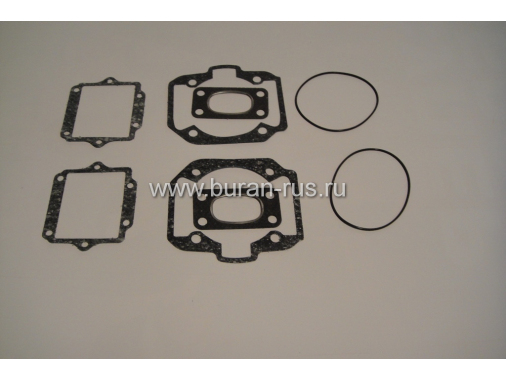 Комплект прокладок для двигателя РМЗ-550 упак
