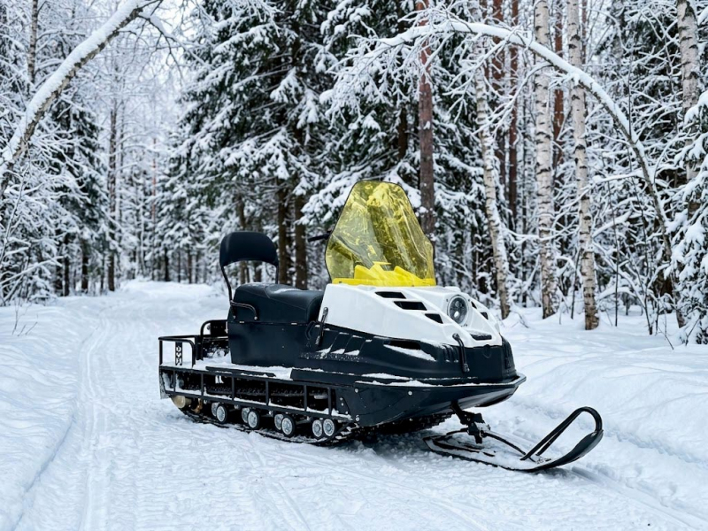 Снегоход 4Т Lifan длинный