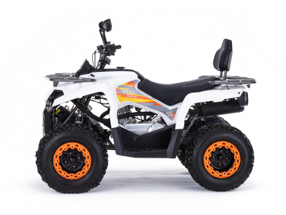 Квадроцикл MOTAX ATV Grizlik 200 Ultra