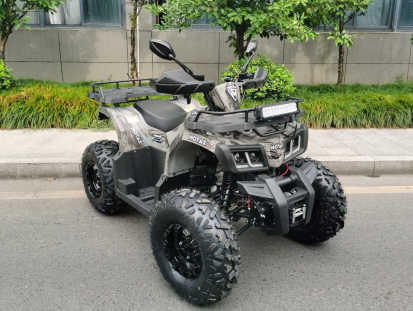 Квадроцикл MOTAX ATV Grizlik T200 LUX
