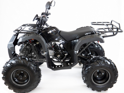 Квадроцикл Motax ATV Grizlik 7 110 cc