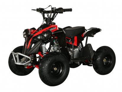 Квадроцикл Motax ATV CAT 110