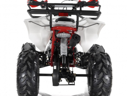 Квадроцикл Motax ATV Raptor Super LUX 125