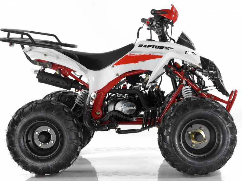 Квадроцикл Motax ATV Raptor Super LUX 125