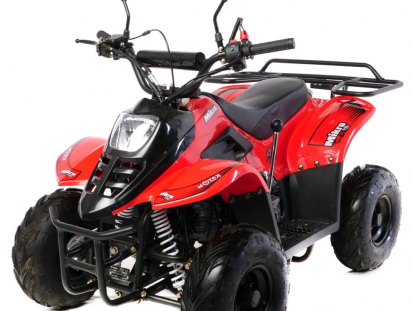 Квадроцикл Motax MIKRO 110 cc