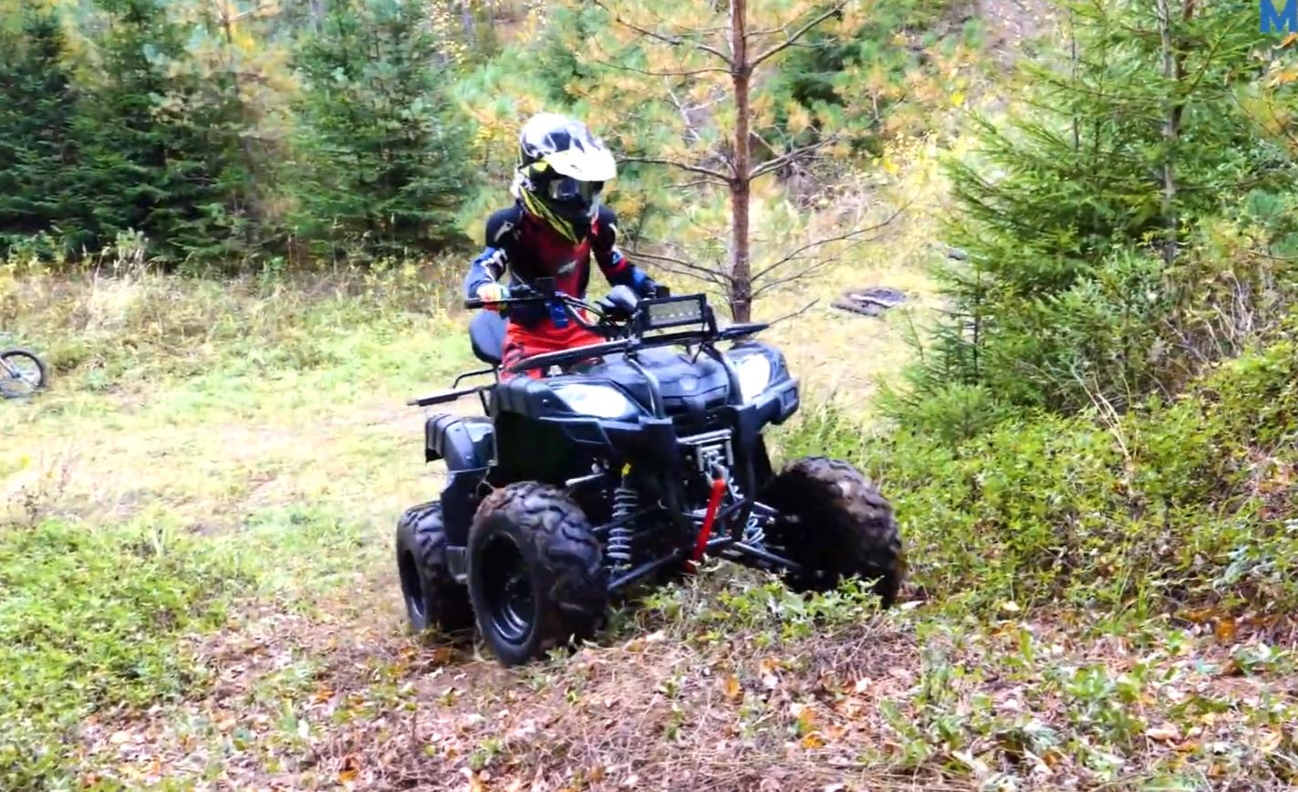 Квадроцикл MOTAX ATV Grizlik 200 LUX