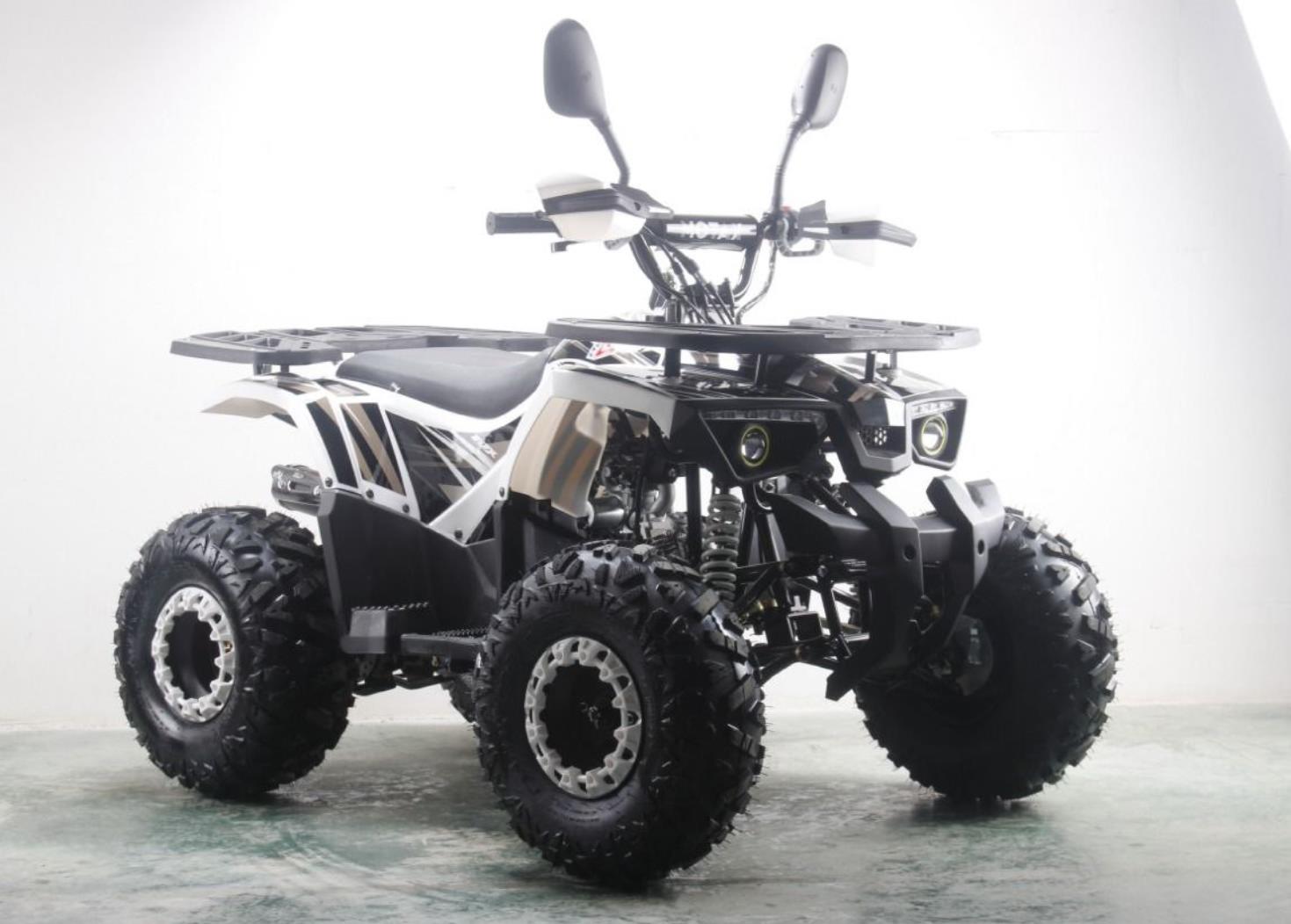 Подростковый квадроцикл MOTAX ATV Grizlik Premium 125cc - купить по цене -  114990 руб от производителя | Интернет-магазин СнегоТехника в Липецке